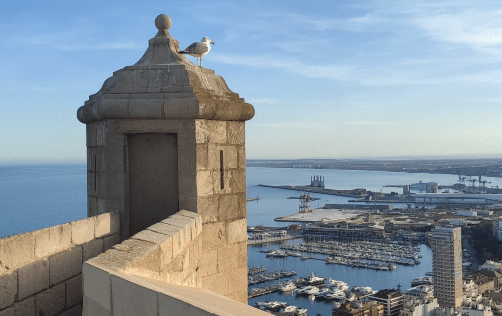 Vista del porto dal Castello di Santa Barbara ad Alicante. Scopri cosa fare in 3 giorni ad Alicante